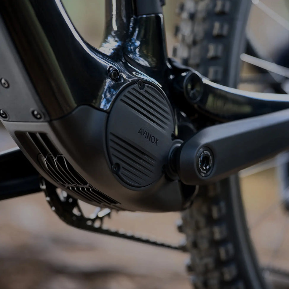 AMFLOW Pl Carbon 800wh