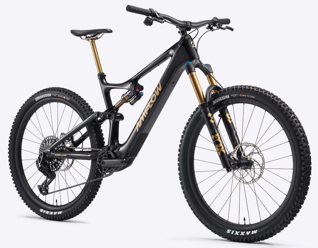 Amflow PL Carbon Pro 800Wh 2025