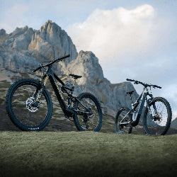 Amflow PL Carbon Pro 800Wh 2025